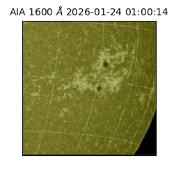 saia - 2026-01-24T01:00:14.125000