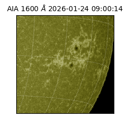 saia - 2026-01-24T09:00:14.132000