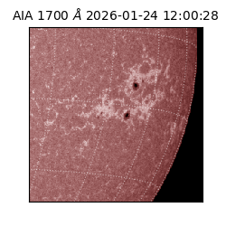 saia - 2026-01-24T12:00:28.717000