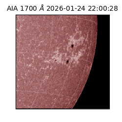 saia - 2026-01-24T22:00:28.717000