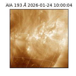 saia - 2026-01-24T10:00:04.843000
