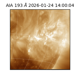 saia - 2026-01-24T14:00:04.843000