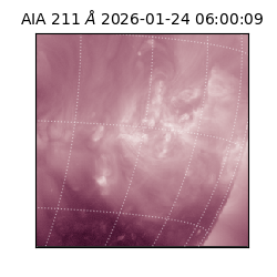 saia - 2026-01-24T06:00:09.618000