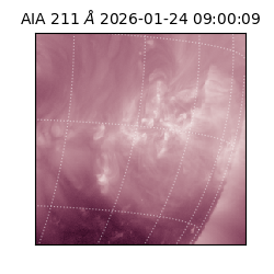 saia - 2026-01-24T09:00:09.630000
