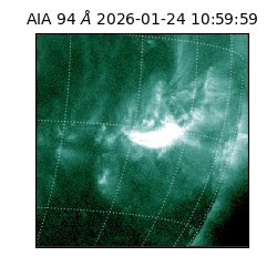 saia - 2026-01-24T10:59:59.129000