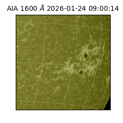 saia - 2026-01-24T09:00:14.132000