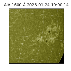 saia - 2026-01-24T10:00:14.125000