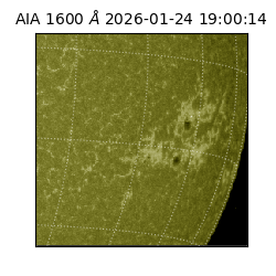saia - 2026-01-24T19:00:14.126000