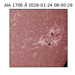saia - 2026-01-24T08:00:28.718000