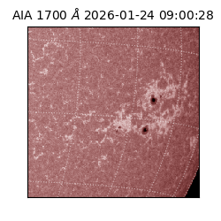 saia - 2026-01-24T09:00:28.717000