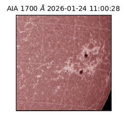saia - 2026-01-24T11:00:28.717000