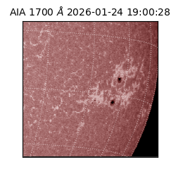 saia - 2026-01-24T19:00:28.717000