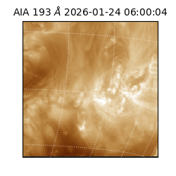 saia - 2026-01-24T06:00:04.835000