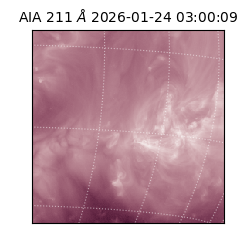 saia - 2026-01-24T03:00:09.626000
