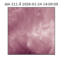 saia - 2026-01-24T14:00:09.633000