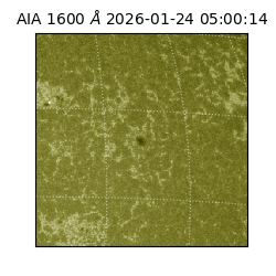 saia - 2026-01-24T05:00:14.126000