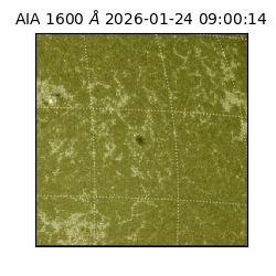 saia - 2026-01-24T09:00:14.132000