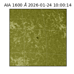 saia - 2026-01-24T10:00:14.125000
