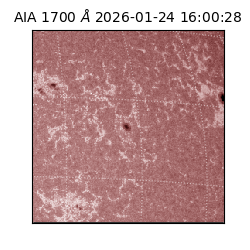saia - 2026-01-24T16:00:28.734000