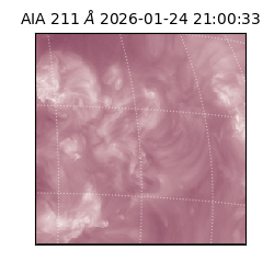 saia - 2026-01-24T21:00:33.626000