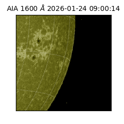 saia - 2026-01-24T09:00:14.132000