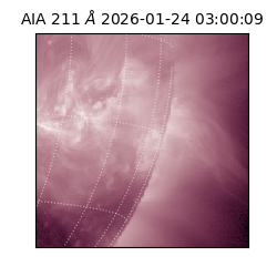 saia - 2026-01-24T03:00:09.626000