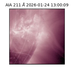 saia - 2026-01-24T13:00:09.632000
