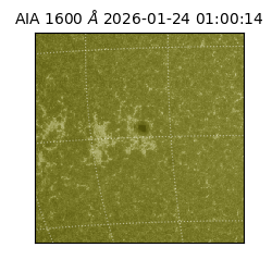 saia - 2026-01-24T01:00:14.125000