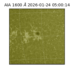 saia - 2026-01-24T05:00:14.126000