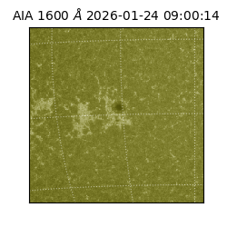 saia - 2026-01-24T09:00:14.132000