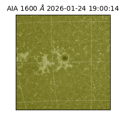 saia - 2026-01-24T19:00:14.126000
