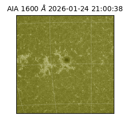 saia - 2026-01-24T21:00:38.126000