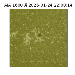 saia - 2026-01-24T22:00:14.126000