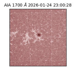 saia - 2026-01-24T23:00:28.717000