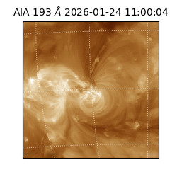 saia - 2026-01-24T11:00:04.843000