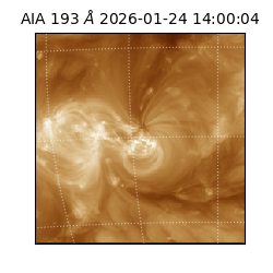 saia - 2026-01-24T14:00:04.843000
