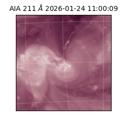 saia - 2026-01-24T11:00:09.626000