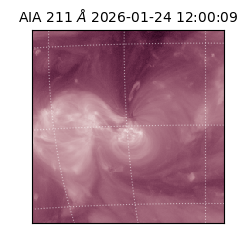 saia - 2026-01-24T12:00:09.630000