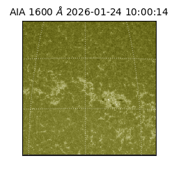 saia - 2026-01-24T10:00:14.125000