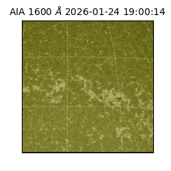 saia - 2026-01-24T19:00:14.126000
