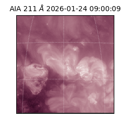 saia - 2026-01-24T09:00:09.630000