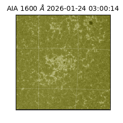 saia - 2026-01-24T03:00:14.126000