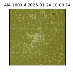 saia - 2026-01-24T10:00:14.125000