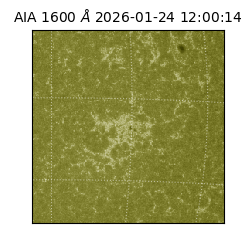 saia - 2026-01-24T12:00:14.126000