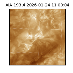 saia - 2026-01-24T11:00:04.843000