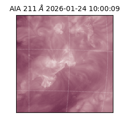 saia - 2026-01-24T10:00:09.626000