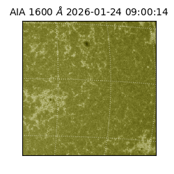 saia - 2026-01-24T09:00:14.132000