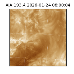 saia - 2026-01-24T08:00:04.843000