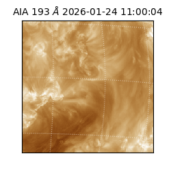 saia - 2026-01-24T11:00:04.843000