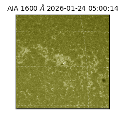 saia - 2026-01-24T05:00:14.126000
